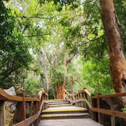 Arrayanes Forest - Las Vegas