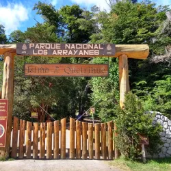 Arrayanes Forest - Las Vegas