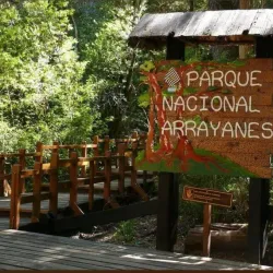 Arrayanes Forest - Las Vegas