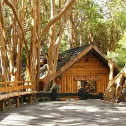 Arrayanes Forest - Las Vegas