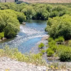 Chimehuin River - Las Vegas