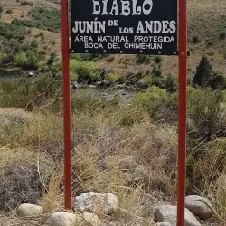 Chimehuin River - Las Vegas