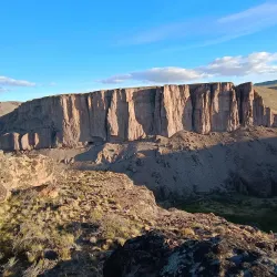 Patagonian Wildlife Observation - Las Vegas