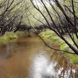 Patagonian Wildlife Observation - Las Vegas