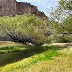 Patagonian Wildlife Observation - Las Vegas
