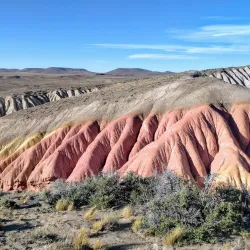 Patagonian Wildlife Observation - Las Vegas