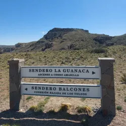 Patagonian Wildlife Observation - Las Vegas