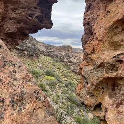 Patagonian Wildlife Observation - Las Vegas