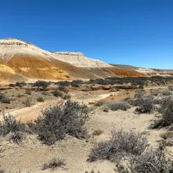 Patagonian Wildlife Observation - Las Vegas