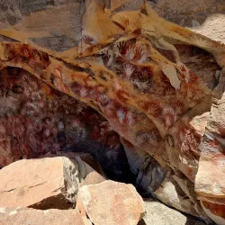 Patagonian Wildlife Observation - Las Vegas