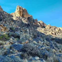 Patagonian Wildlife Observation - Las Vegas