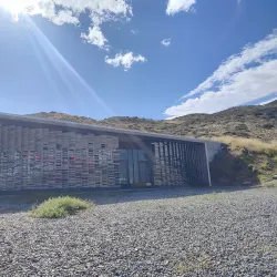 Patagonian Wildlife Observation - Las Vegas