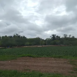 Parque La Familia - Los Polvorines