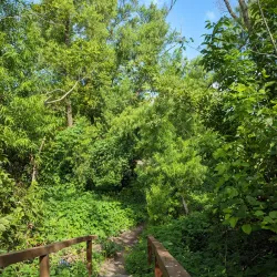 Reserva Natural Municipal - Los Polvorines
