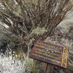 Caverna de las Brujas - Malargüe