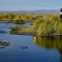Laguna Llancanelo - Malargüe