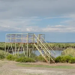 Laguna Llancanelo - Malargüe