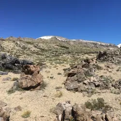 Laguna Negra - Malargüe