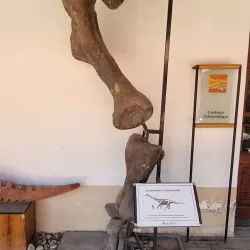 Museo Regional Malargüe - Malargüe