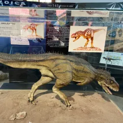 Museo Regional Malargüe - Malargüe