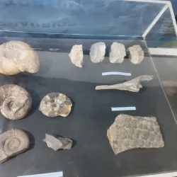 Museo Regional Malargüe - Malargüe