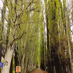 Pierre Auger Observatory - Malargüe