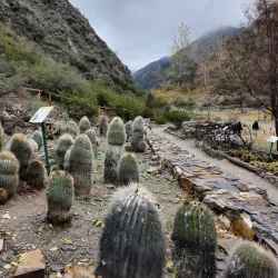 Reserva Natural Villavicencio - Malargüe