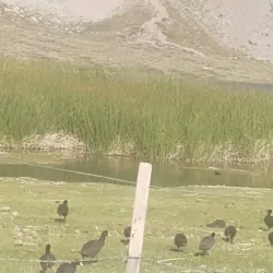 Valle Hermoso - Malargüe