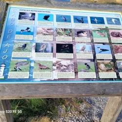 Faro de Mar de Ajó (Mar de Ajó Lighthouse) - Mar de Ajó