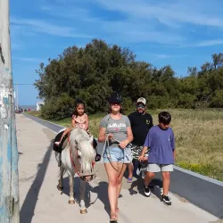 Parque Municipal de Mar de Ajó - Mar de Ajó