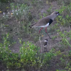 Parque Municipal de Mar de Ajó - Mar de Ajó