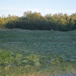 Parque Municipal de Mar de Ajó - Mar de Ajó