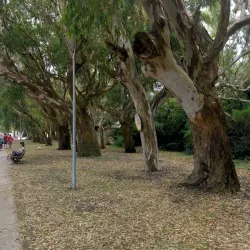 Paseo Costanero - Mar de Ajó