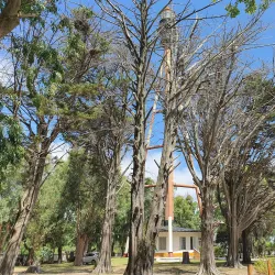 Reserva Natural Punta Médanos - Mar de Ajó
