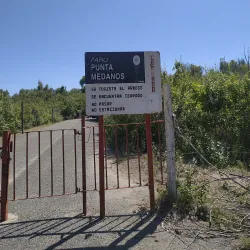 Reserva Natural Punta Médanos - Mar de Ajó
