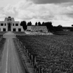 Bodega Catena Zapata - Mendoza