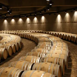 Bodega Catena Zapata - Mendoza
