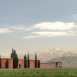 Bodega Ruca Malen - Mendoza