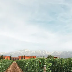 Bodega Ruca Malen - Mendoza