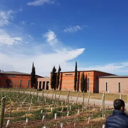 Bodega Ruca Malen - Mendoza