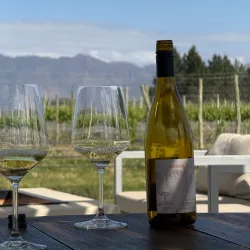 Bodega Ruca Malen - Mendoza