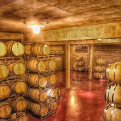 Bodega Ruca Malen - Mendoza