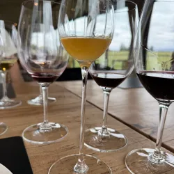 Bodega Ruca Malen - Mendoza