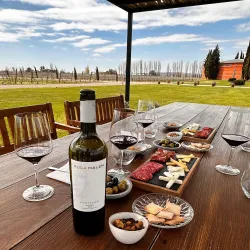 Bodega Ruca Malen - Mendoza
