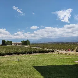Bodega Salentein - Mendoza