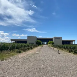 Bodega Salentein - Mendoza