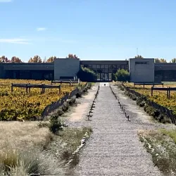 Bodega Salentein - Mendoza