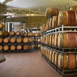 Bodega Salentein - Mendoza