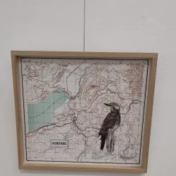 Centro Cultural Alberdi - Neuquen