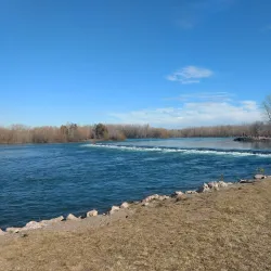 Costanera de Neuquén - Neuquen